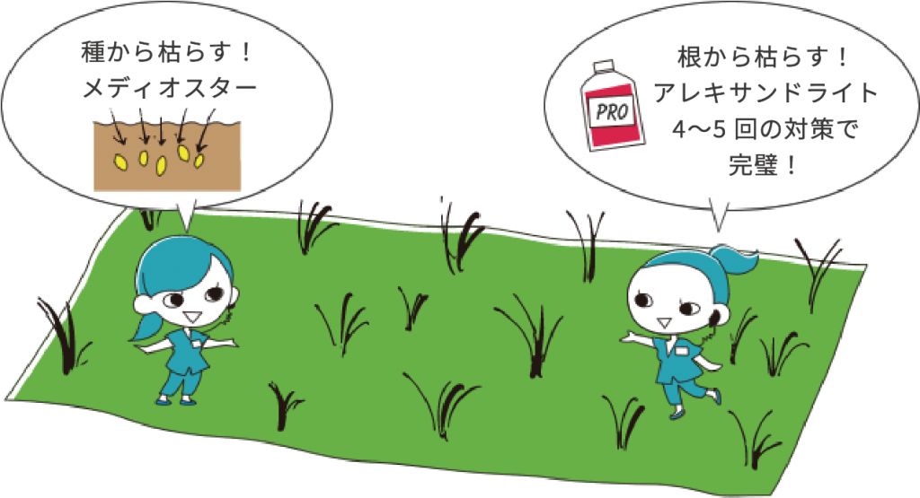 AdeB医療脱毛レーザー