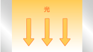 AdeB_e-MAX光