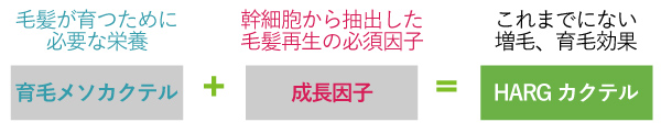 AdeB発毛メカニズム