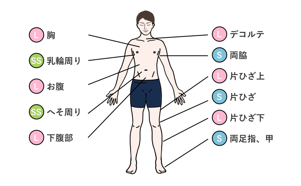 男性脱毛パーツ前面