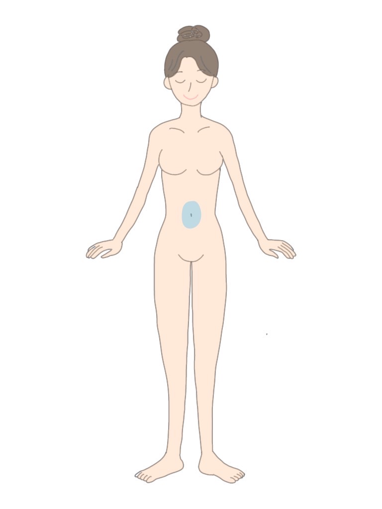 女性へそまわり脱毛