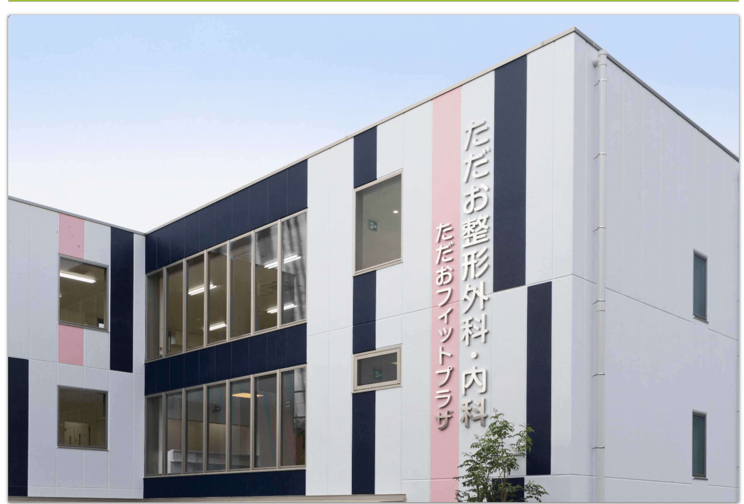 ただお整形外科・内科