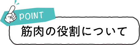 04-1.png 04-1.png